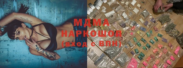 ешки Алексин