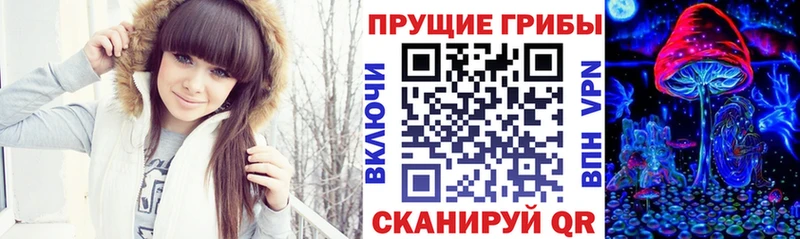 купить закладку МЕГА Псилоцибиновые грибы Cubensis Коркино